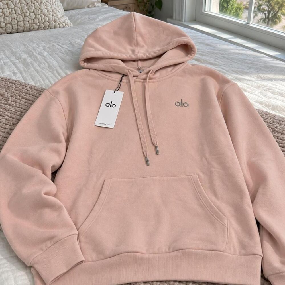 Alo Accolade Hoodie Sweatshirt – Ballet Pink